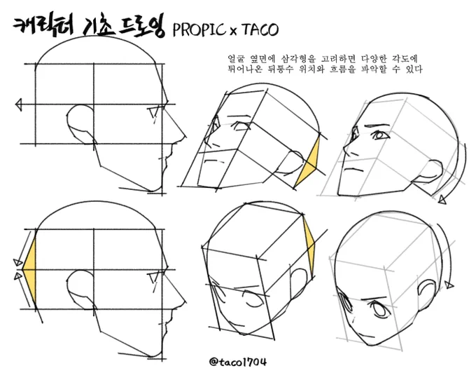 얼굴 옆면에 삼각형을 고려하면 다양한 각도에 튀어나온 뒤통수 위치와 흐름을 파악할 수 있다 