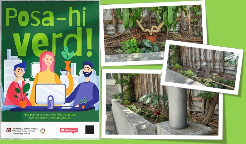 Preparant el tancament de #CRAICatalunya @craiurv fins el 2/09. No ens oblidem de la campanya #posahiverd de <a href="/mediambientURV/">mediambientURV</a> que fa que tot l'any tinguem espais acollidors a la <a href="/universitatURV/">Universitat Rovira i Virgili</a>
🪴 🌻🌹Avui fent possible el rec en la nostra absència. Moltes  gràcies <a href="/mediambientURV/">mediambientURV</a>