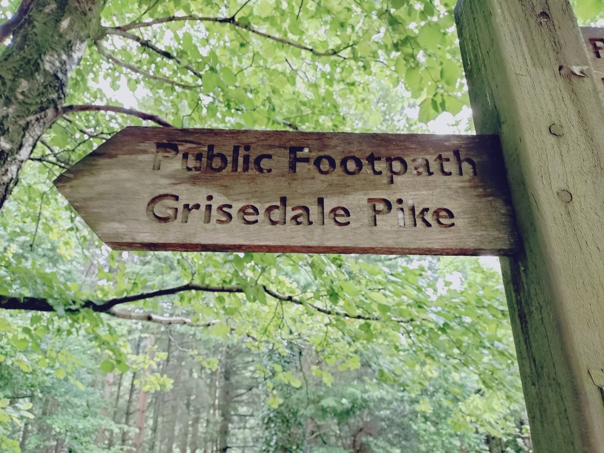 Douwe Bilder tweet media