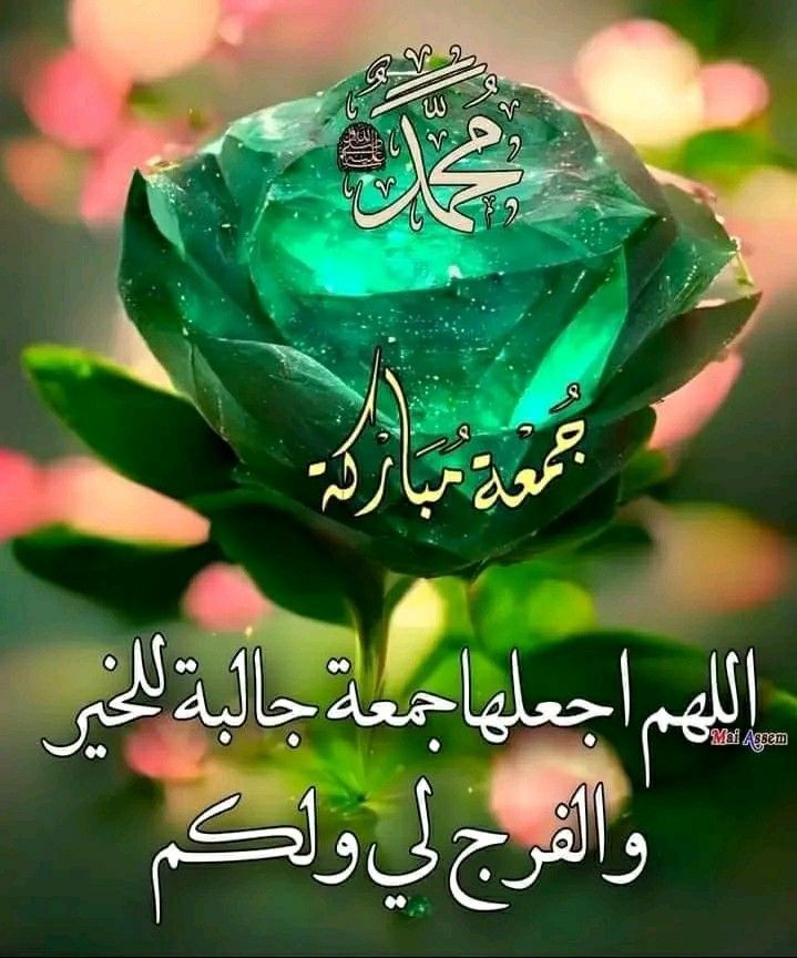 @K20kb <a href="/ggh_hashem/">Gada hashim</a> <a href="/__hms0/">‏☆ همســآت ☆</a> <a href="/Dr_abeer8/">عبير80K Abeer</a> <a href="/NajeebThafree/">نجيب الظافري</a> <a href="/RedaRahmanGait/">رٍضا الُرٍحٍمن غايَتيَ.👷‍♀️</a> <a href="/NSA559/">النصر</a> <a href="/Ahlam04900191/">Ahlam</a> جمعة مباركة