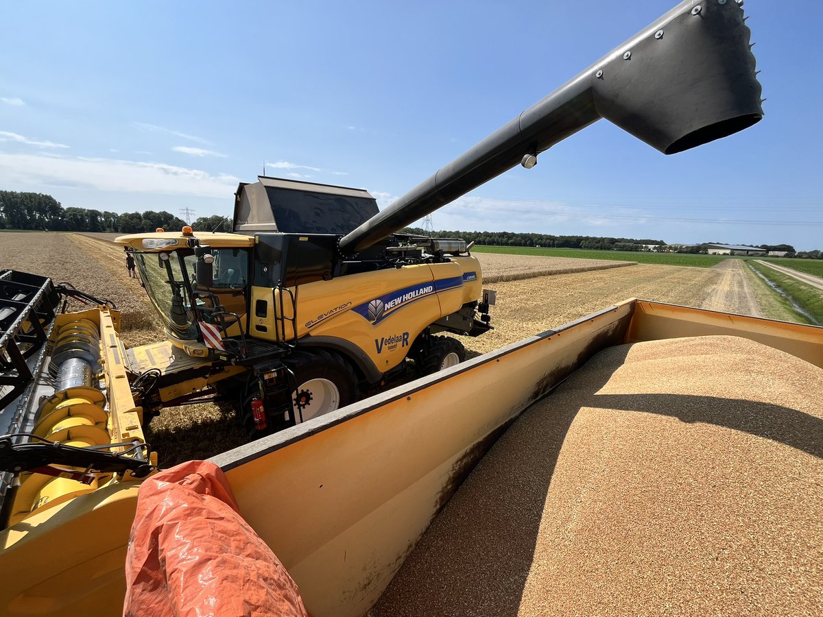 ptrholster's tweet image. 