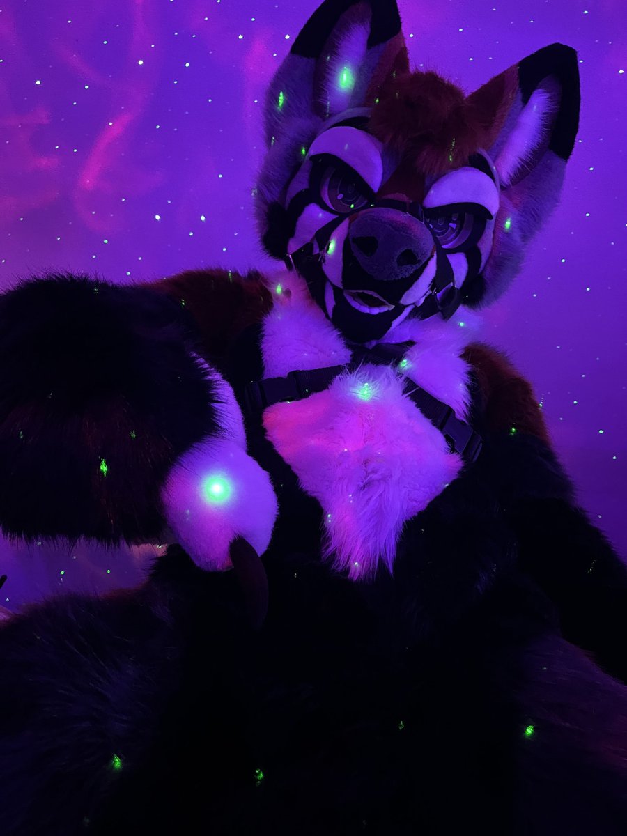 Skeptre🔜FCL, AC tweet media