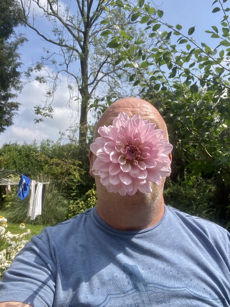 reallybadgardener tweet media