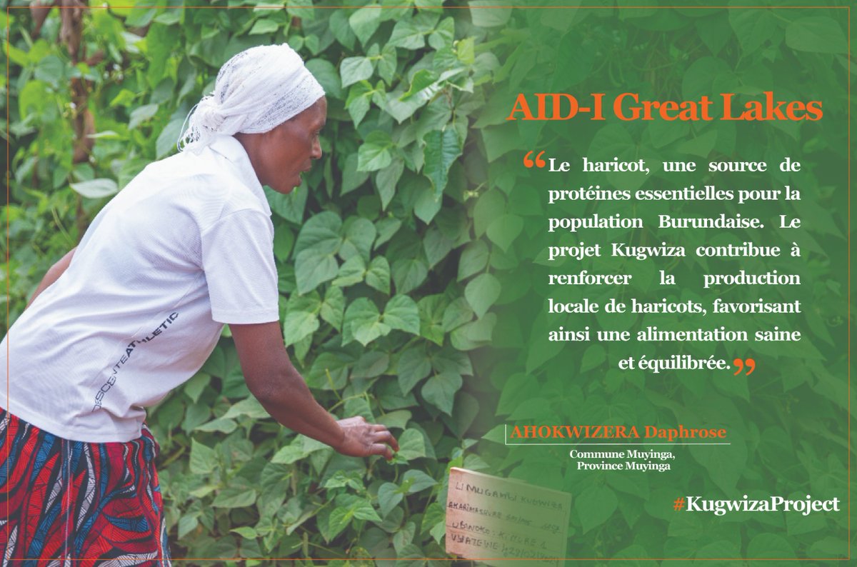 IITA Burundi (@iita_bdi) on Twitter photo Le haricot, Source de protéines et de fibres, il nourrit nos corps et nos communautés! #AIDI Great Lakes.
<a href="/FeedtheFuture/">Feed the Future</a>
<a href="/US_Emb_Burundi/">U.S. Embassy Burundi</a>
<a href="/USAID/">USAID</a>
<a href="/IITA_CGIAR/">IITA</a>
<a href="/WVBurundi/">World Vision Burundi</a>
<a href="/ACORDBurundi/">ACORD Burundi</a>
<a href="/Capad8/">Capad</a>
<a href="/Welthungerhilfe/">Welthungerhilfe (WHH)</a>
<a href="/isabu_officiel/">ISABU</a> Le haricot, Source de protéines et de fibres, il nourrit nos corps et nos communautés! #AIDI Great Lakes.
<a href="/FeedtheFuture/">Feed the Future</a>
<a href="/US_Emb_Burundi/">U.S. Embassy Burundi</a>
<a href="/USAID/">USAID</a>
<a href="/IITA_CGIAR/">IITA</a>
<a href="/WVBurundi/">World Vision Burundi</a>
<a href="/ACORDBurundi/">ACORD Burundi</a>
<a href="/Capad8/">Capad</a>
<a href="/Welthungerhilfe/">Welthungerhilfe (WHH)</a>
<a href="/isabu_officiel/">ISABU</a>
