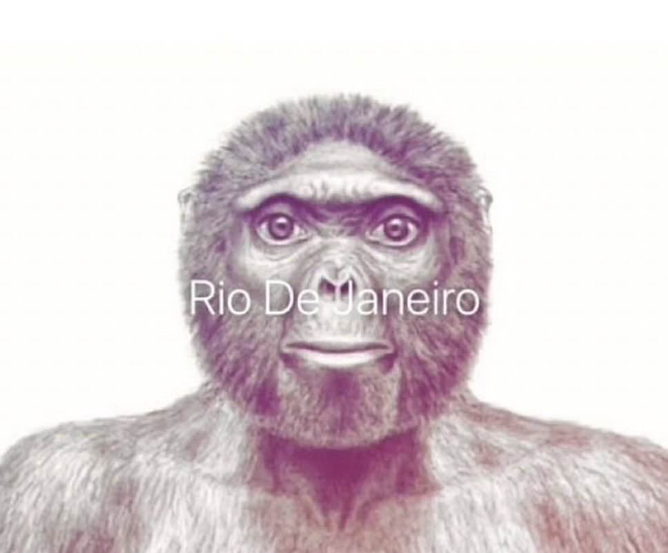 Quand tu arrives au boucher tu demandes deux saucisses paysannes et qu’il te regarde comme ca dans son jogging gris nan la nature t’as bien gate tsais le mec qui abuse