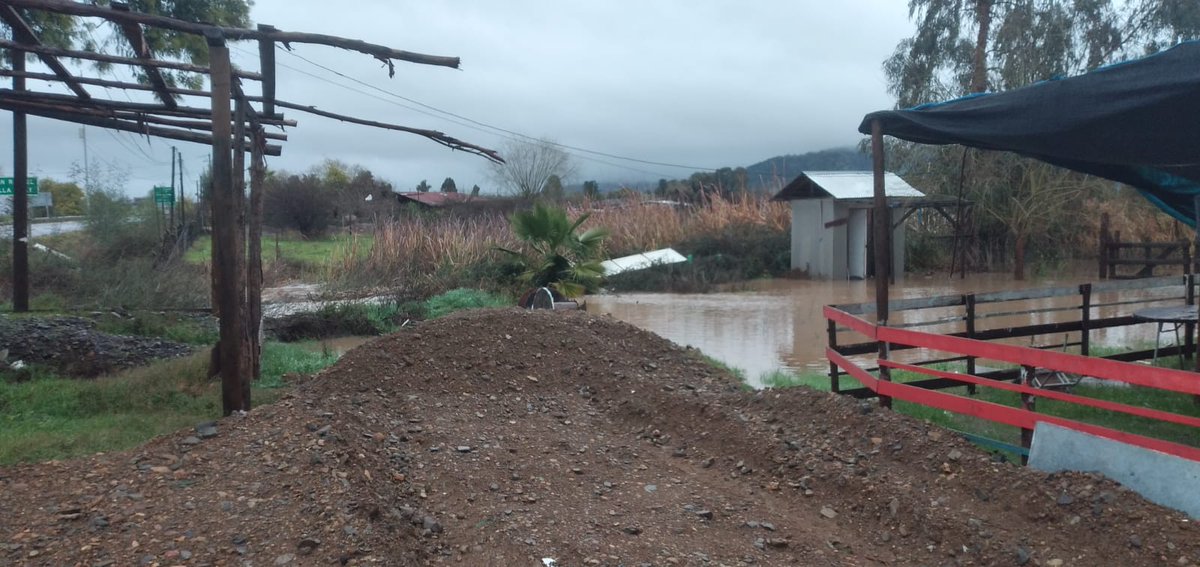 Víctor González tweet media