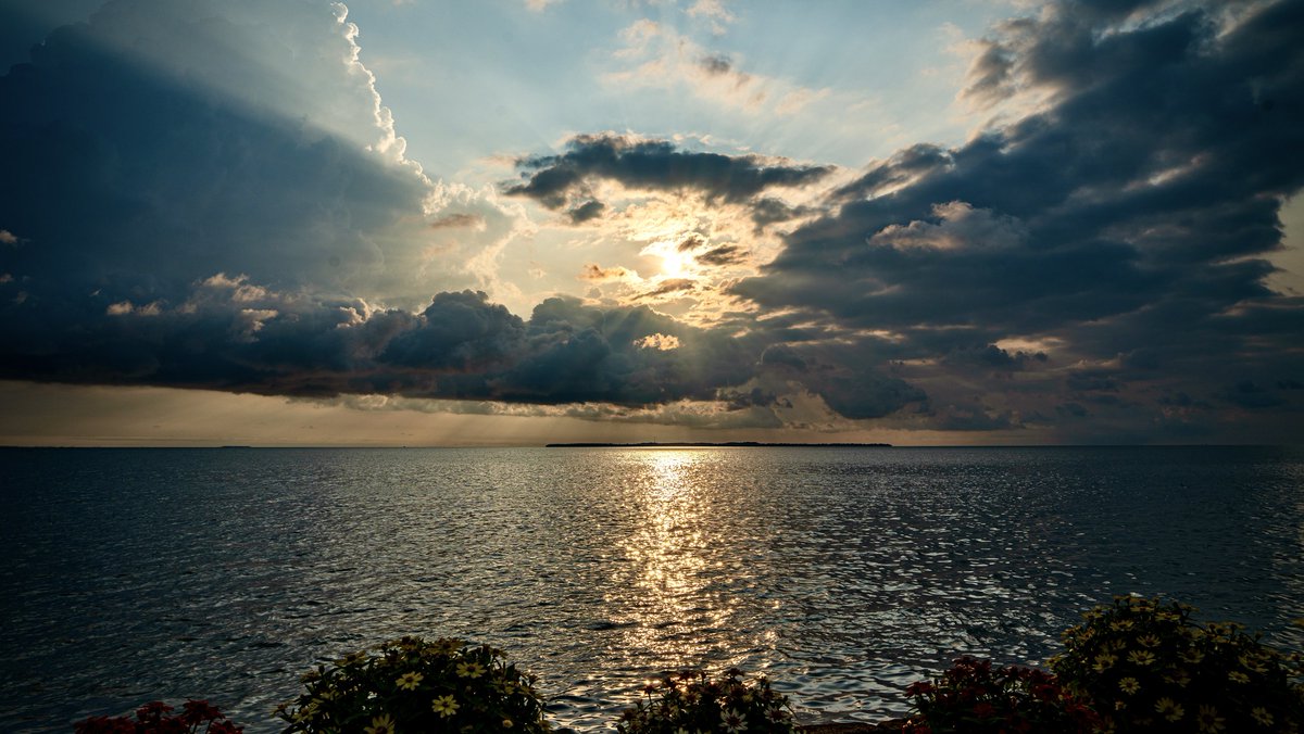 Miller Ferries (@millerboatline) on Twitter photo Sending #lakeerielove on #FF to <a href="/PerrysVIPM/">Perry's Victory& IPM</a> <a href="/ohioseagrant/">Ohio Sea Grant</a> <a href="/rudys_strudel/">Rudy's Strudel & Bakery</a> <a href="/ImagesNorth/">North Coast Aerial Images</a> <a href="/NWSCLE/">NWS Cleveland</a> <a href="/EddieGreatLakes/">Eddie Verhamme</a> <a href="/OHStateParks/">Ohio State Parks & Watercraft</a> <a href="/LakeErieNorth/">LakeErie ♀</a> <a href="/Ohio_Tourism/">My Ohio Fun | Ohio Tourism</a> <a href="/NWOhioWeather/">NW Ohio Wx</a> <a href="/TheCLE/">Destination Cleveland</a> <a href="/RoadtripC/">Roadtrip Couple</a> <a href="/toledonews/">The Blade</a> <a href="/OhioState/">Ohio State</a> <a href="/MidwestLiving/">Midwest Living</a> 📸 T. Dressel, Catawba Island sunrise on #LakeErie Sending #lakeerielove on #FF to <a href="/PerrysVIPM/">Perry's Victory& IPM</a> <a href="/ohioseagrant/">Ohio Sea Grant</a> <a href="/rudys_strudel/">Rudy's Strudel & Bakery</a> <a href="/ImagesNorth/">North Coast Aerial Images</a> <a href="/NWSCLE/">NWS Cleveland</a> <a href="/EddieGreatLakes/">Eddie Verhamme</a> <a href="/OHStateParks/">Ohio State Parks & Watercraft</a> <a href="/LakeErieNorth/">LakeErie ♀</a> <a href="/Ohio_Tourism/">My Ohio Fun | Ohio Tourism</a> <a href="/NWOhioWeather/">NW Ohio Wx</a> <a href="/TheCLE/">Destination Cleveland</a> <a href="/RoadtripC/">Roadtrip Couple</a> <a href="/toledonews/">The Blade</a> <a href="/OhioState/">Ohio State</a> <a href="/MidwestLiving/">Midwest Living</a> 📸 T. Dressel, Catawba Island sunrise on #LakeErie