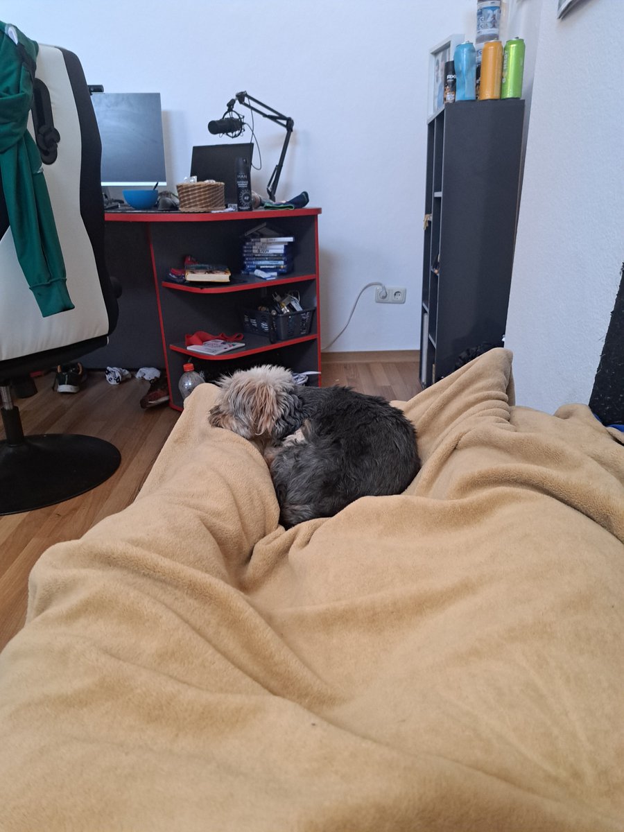 JulienTV310506's tweet photo. Jetzt erstmal mittags schlaf machen👌 https://t.co/wL2DxKo2xb