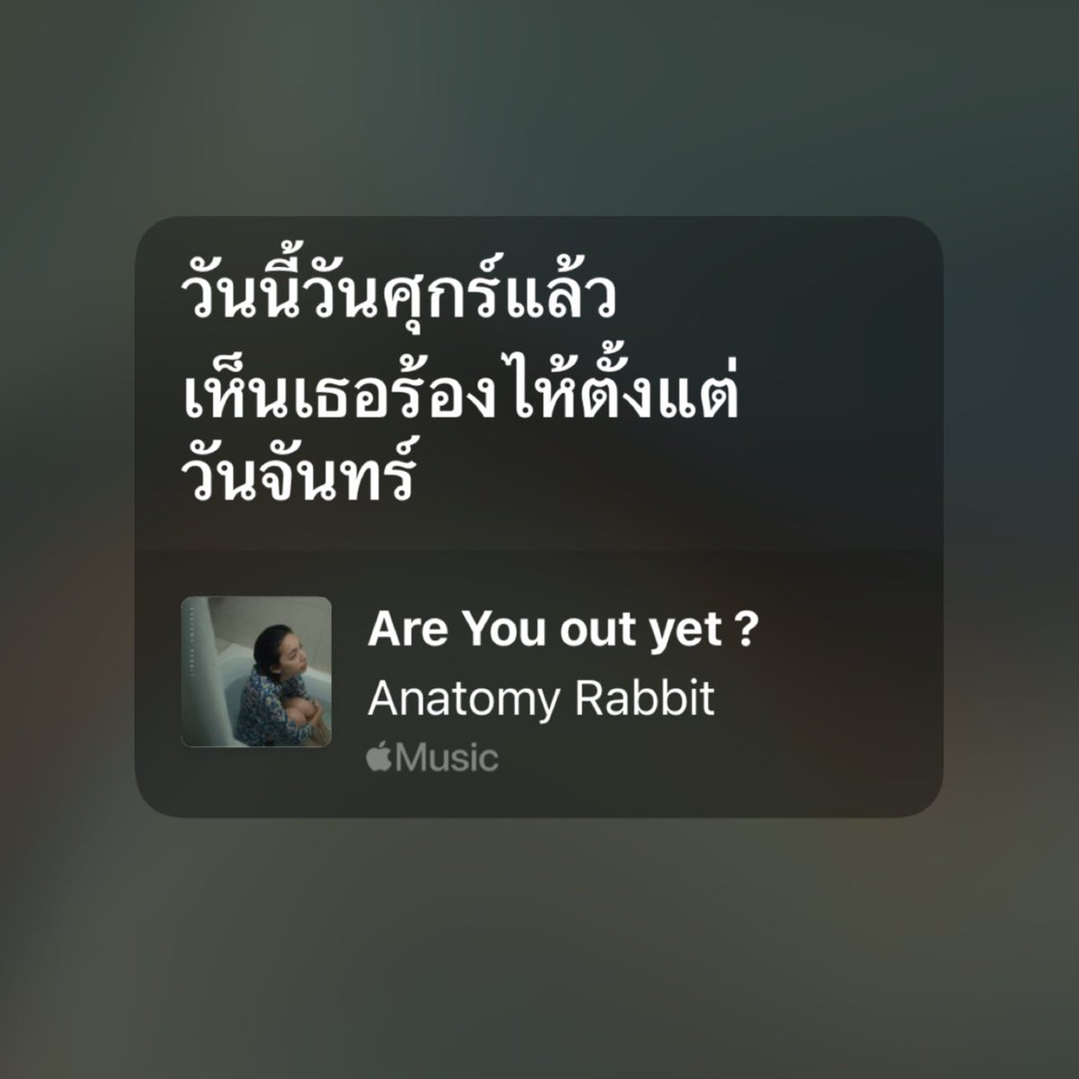 ป้อกกาแลต (@dakrvibess) on Twitter photo 