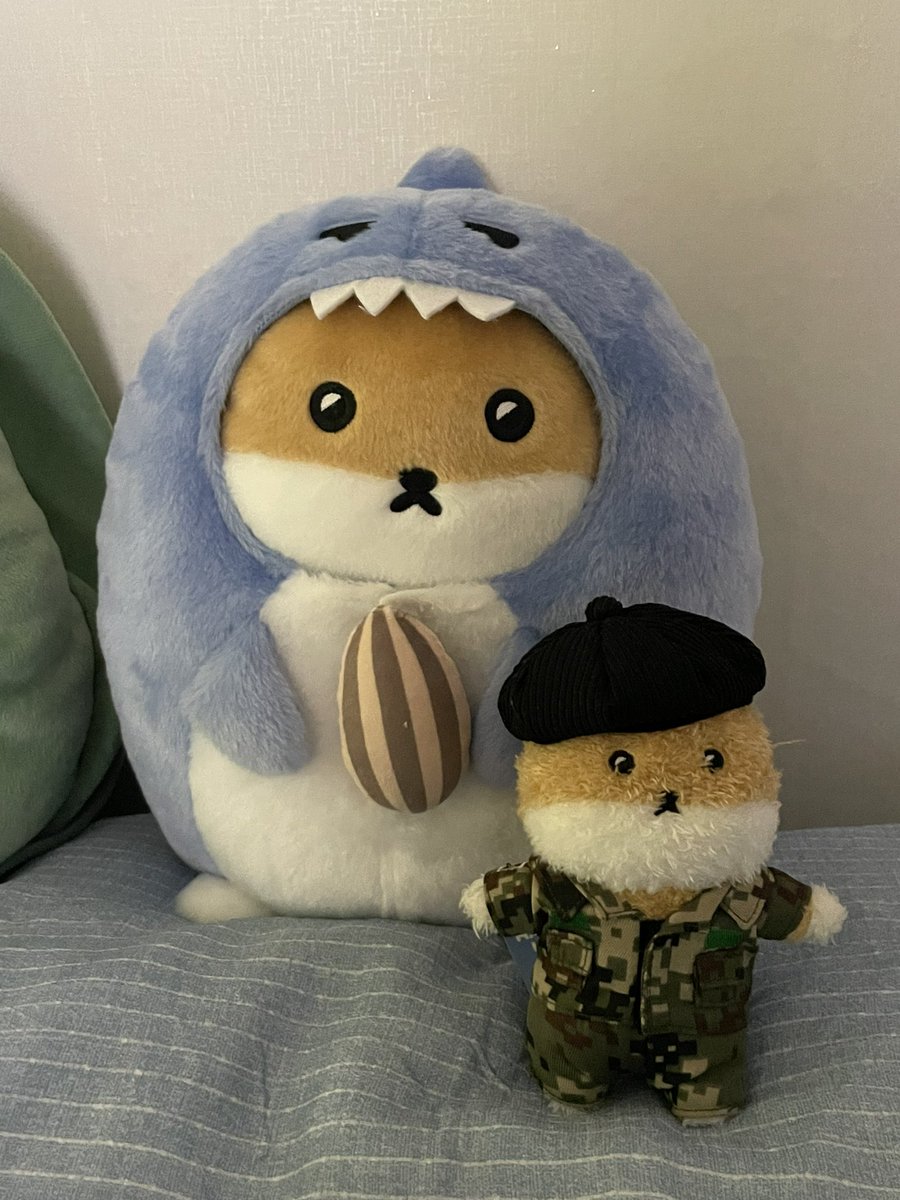 (rest)디디베베 tweet media