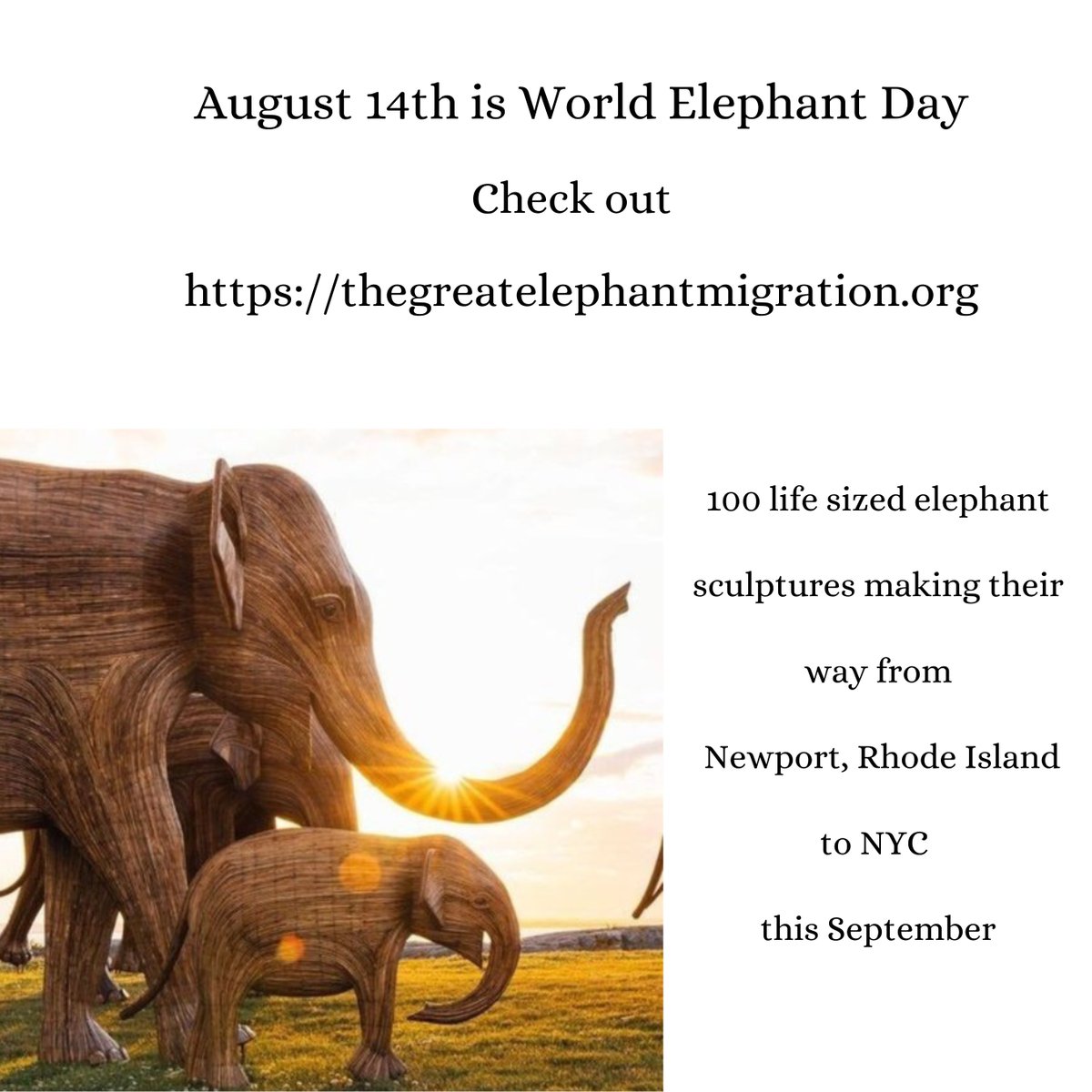 August 14th is WORLD ELEPHANT DAY! 
Calling all poet friends to post your pachyderm poems!
And check out The Great Elephant Migration website to follow along (or visit!) the 100 life-sized sculptures on their migration. 
#elephants #conservation #poem #wildbirdfund