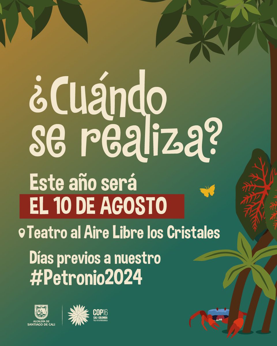 ¡Petronito ya está aquí! 🎶 

🪘Rumbo a nuestro #Petronio2024, los más pequeños de la música del Pacífico se toman el escenario en Petronito. 

Este encuentro de semilleros es una celebración importantísima para garantizar el relevo generacional de nuestras tradiciones ✨