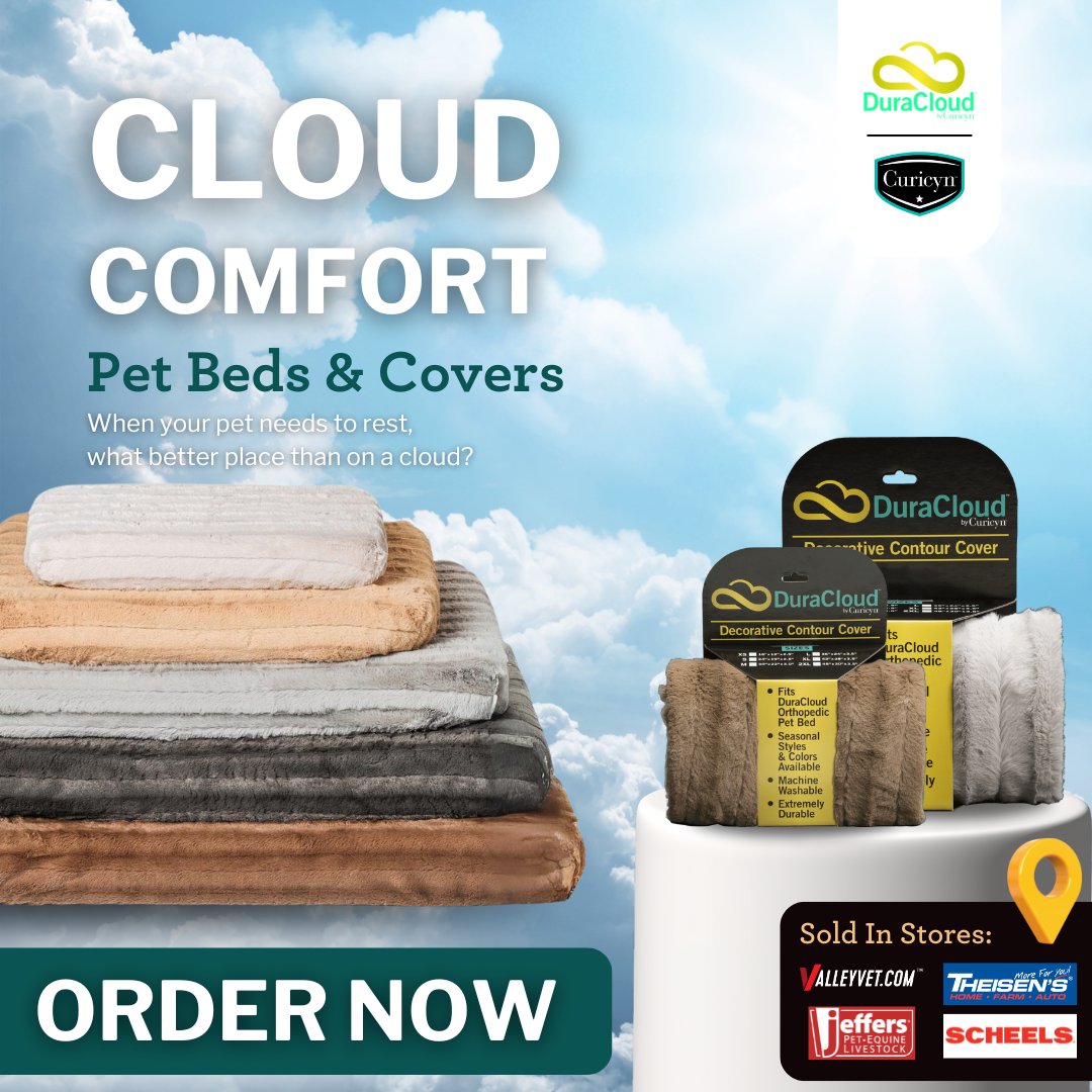 Curicynproducts's tweet photo. 🌟 Treat your pet to the ultimate comfort with #DuraCloudBeds by #Curicyn! 🛏️ Explore our collection of colors and sizes on our website and find the perfect bed for your furry friend today! 🐾

🔗 Shop now at https://t.co/x8jnXxJBmx https://t.co/FyhIWngFMr