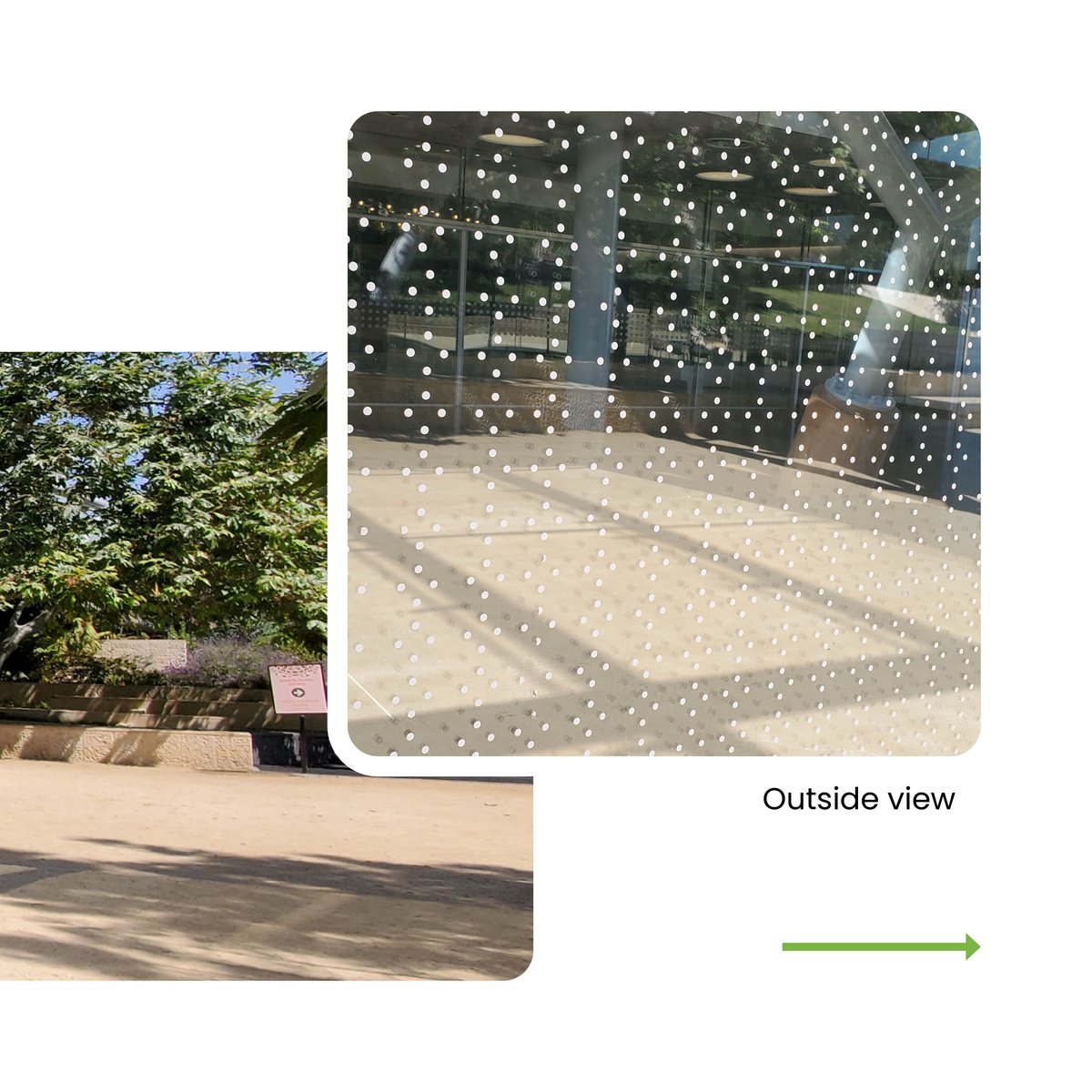 FeatherFriendly's tweet photo. In 2023 the Natural History Museum of LA County treated their pavilion with Feather Friendly’s “Serenity” pattern. Since installation, collisions have significantly decreased
@NHMLA
#FeatherFriendly #BirdSafe #NHMLAC  #glasscollision #birdsafeglass #conservation #provensolution https://t.co/fUNLKc19OH