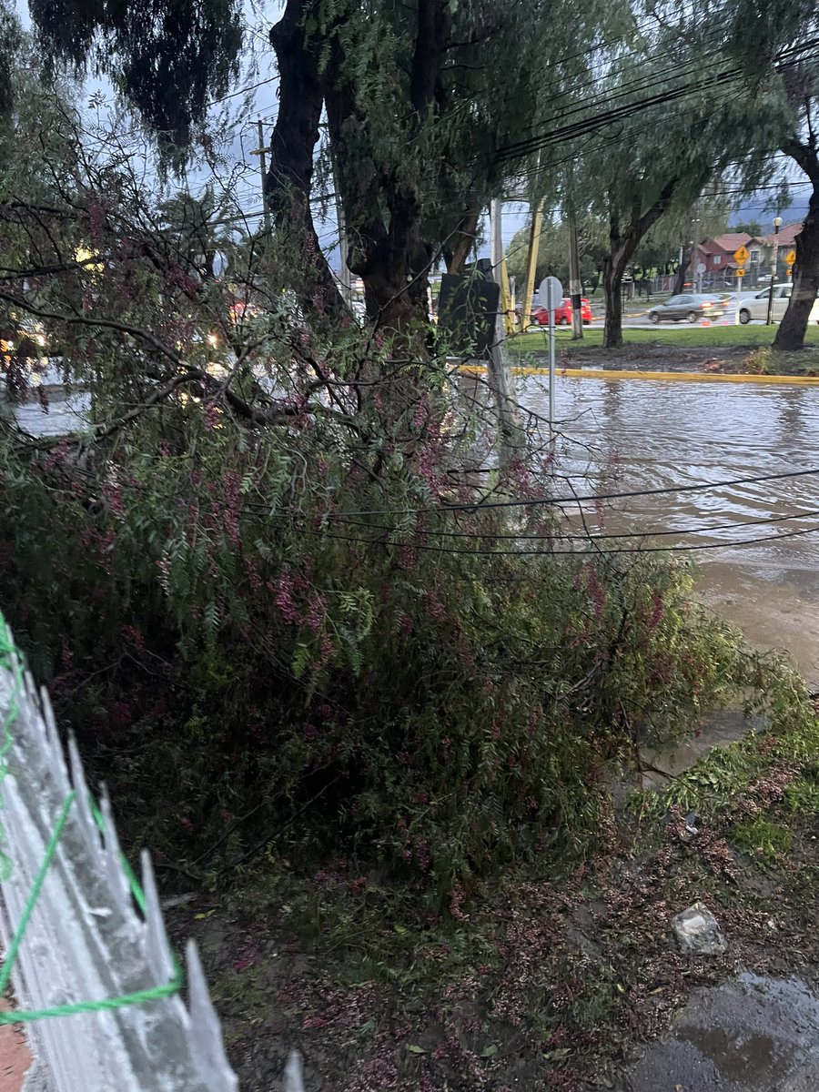 DjTobyChile's tweet photo. @munimaipu @EnelChile @TomasVodanovic Necesitamos ayuda por favor, caída de parte del árbol y cable energizado en el portón. https://t.co/tqovRB6ej0