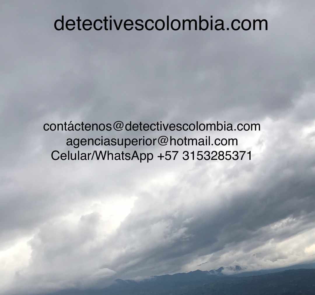 Detectivescol's tweet image. 