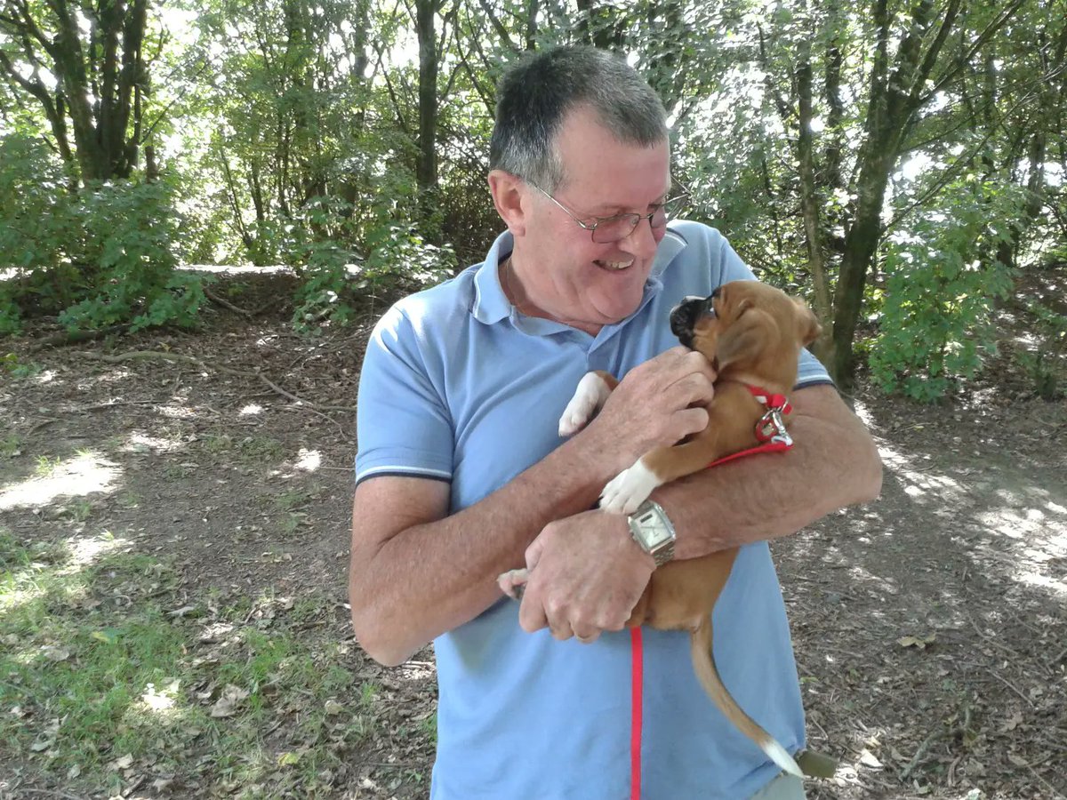 milliebtheboxer's tweet photo. 9 years ago today, we had an exciting journey back from #Luton with our dear #millieb. She was coming to her forever home. Who'd have believed that she would cross #therainbowbridge🌈  just after her 8th birthday. We still miss her so much now. #boxerlady #boxerloversfc #boxers https://t.co/fLtDwjIMDg