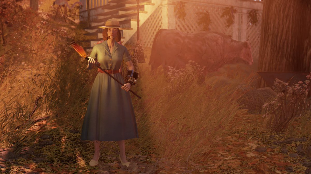 Nolan 🍓 tweet media