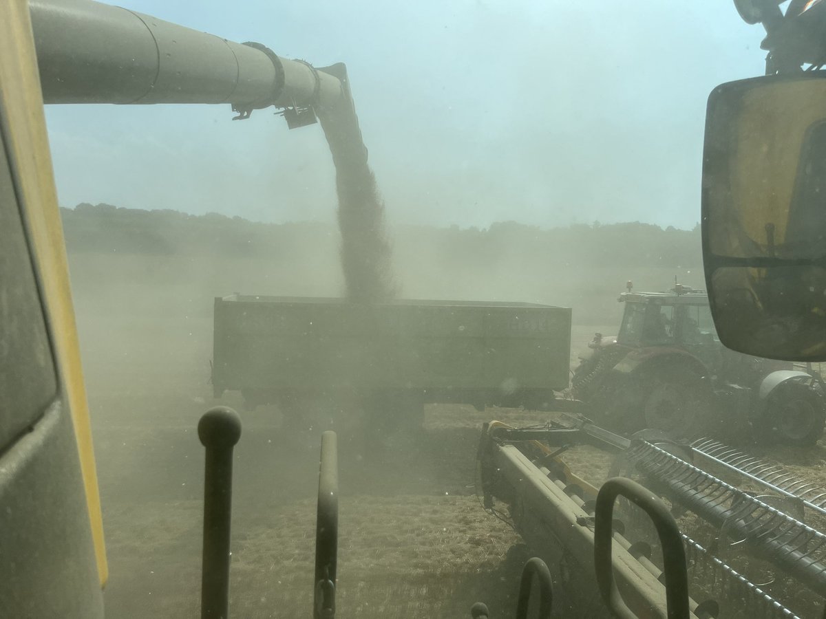 She is a weapon …..that’s 50 feet of crop going in and being chopped 💪  @NHAG_UKandROI