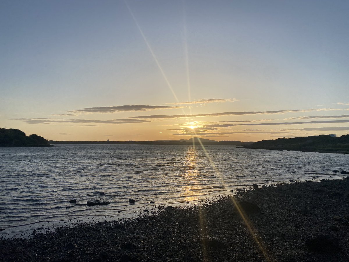 Arwel Owen tweet media