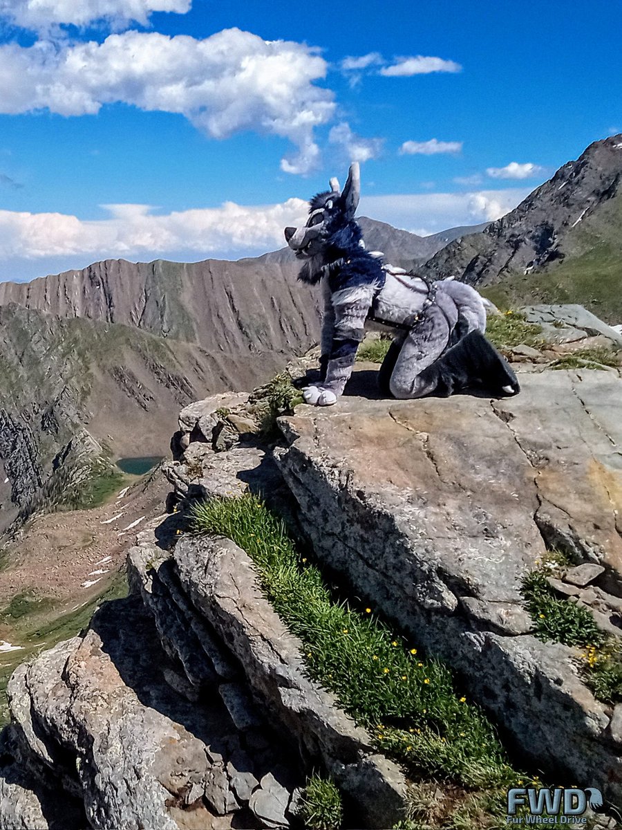 Awoo~ 

#FursuitFriday 
✂️ <a href="/ThatsFurredUp/">That's Furred Up!</a>