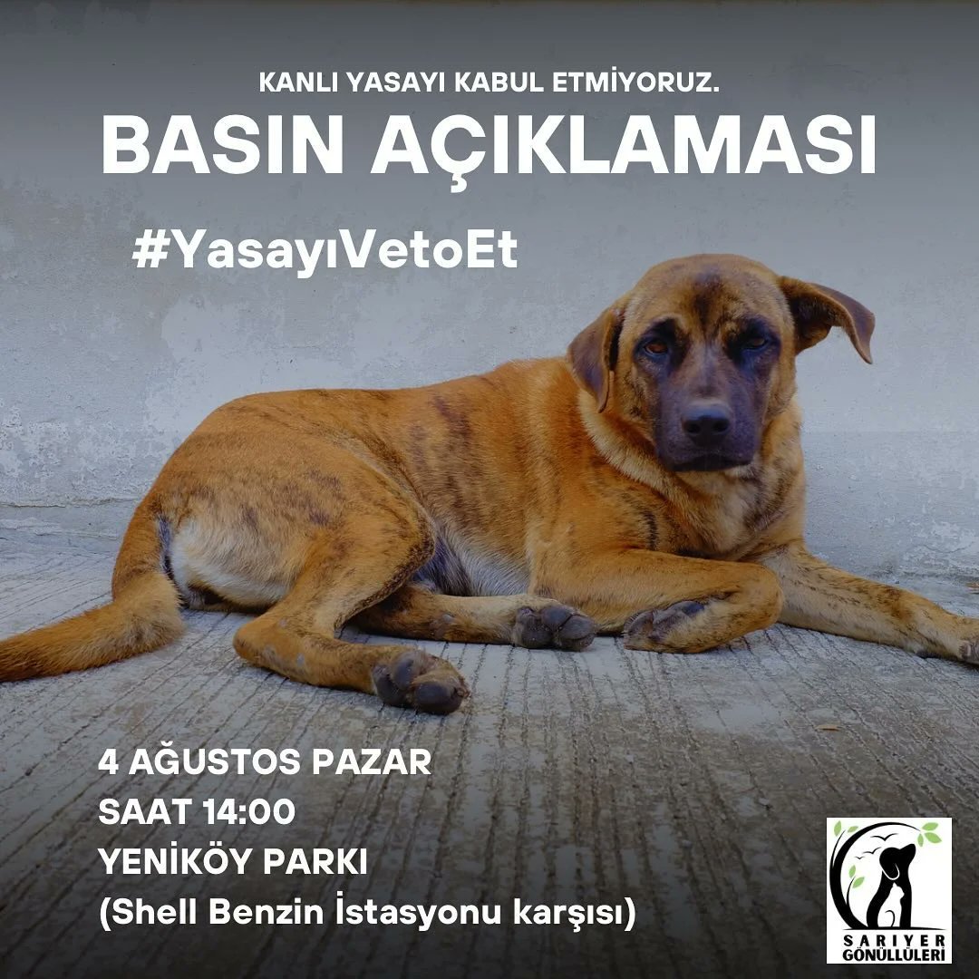 Yaşam İçin Yasa #YaşamİçinYasa (@yasamicinyasa) on Twitter photo Sarıyer Gönüllüleri (<a href="/sariyercanlari/">Sariyergonulluleri</a>) Kanlı Yasayı Kabul Etmiyoruz Diyor: #yasayıvetoet demek için toplanıyoruz.
Tüm yaşam hakkı savunucularını bekliyoruz. Birlikte Güçlüyüz.
SARIYER / YENİKÖY
4 AĞUSTOS PAZAR
SAAT 14:00
YENİKÖY PARKI (Shell Benzin İstasyonu karşısı - Yeniköy Sarıyer Gönüllüleri (<a href="/sariyercanlari/">Sariyergonulluleri</a>) Kanlı Yasayı Kabul Etmiyoruz Diyor: #yasayıvetoet demek için toplanıyoruz.
Tüm yaşam hakkı savunucularını bekliyoruz. Birlikte Güçlüyüz.
SARIYER / YENİKÖY
4 AĞUSTOS PAZAR
SAAT 14:00
YENİKÖY PARKI (Shell Benzin İstasyonu karşısı - Yeniköy