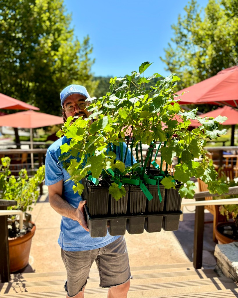 Tablas Creek tweet media