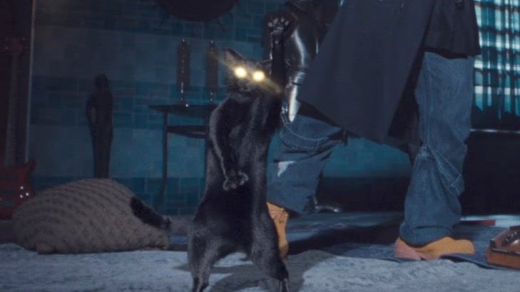 softlysunoo's tweet photo. sunoo's hoodie here saying ‘my cat is a rockstar and I'm a manager’ while the black cat posed like a rockstar is sending meeee 😭 https://t.co/2TYAXiJBky