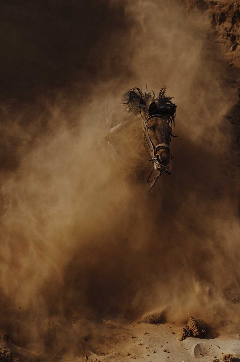 Aliens in Residence tweet media