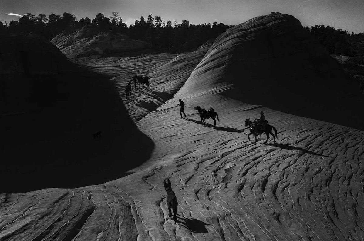 Aliens in Residence tweet media