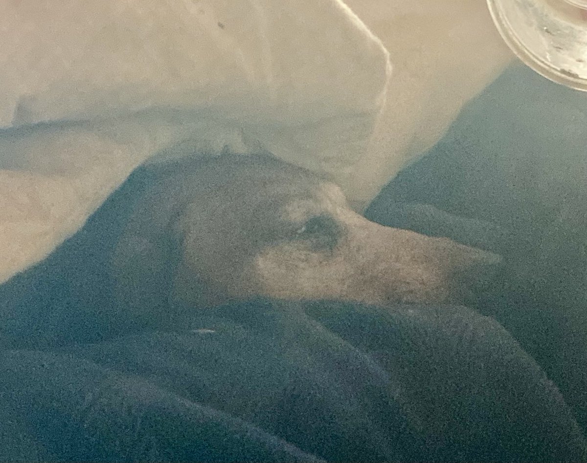 Ruddy says he’ll pass on morning today.