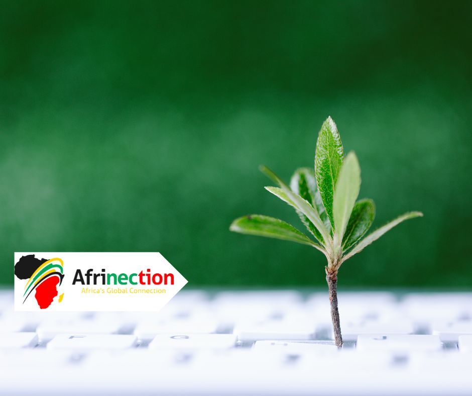 Discover how African entrepreneurs are leading the charge against climate change with innovative green tech solutions! 🌍💡 Read more in our latest blog: buff.ly/3LFFLow   #ClimateChange #Innovation #GreenTech #Afrinection #AfricanBusiness #Africa #Entrepreneurs
