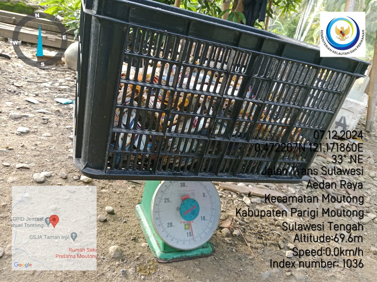 EkaArlianti's tweet photo. Jumat 12/07/24 EKA A.S.Pi Luhkan kab parimo kec moutong desa salumpengut melakukan pendataan hsl tangkap nelayan penangkap kepiting rajungan yaitu 150 kg/ Rp. 25000
@djpt_kkp
#luhlaporppbkabparimo
@lapregiwati @PPBPUSLATLUHKP @kkpgoid @bpppbitung @Ditjen_PDSPKP #kkpthrive https://t.co/srKqhJwJDE