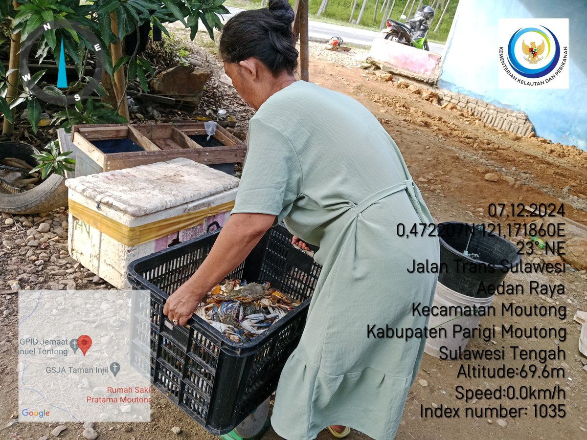 EkaArlianti's tweet photo. Jumat 12/07/24 EKA A.S.Pi Luhkan kab parimo kec moutong desa salumpengut melakukan pendataan hsl tangkap nelayan penangkap kepiting rajungan yaitu 150 kg/ Rp. 25000
@djpt_kkp
#luhlaporppbkabparimo
@lapregiwati @PPBPUSLATLUHKP @kkpgoid @bpppbitung @Ditjen_PDSPKP #kkpthrive https://t.co/srKqhJwJDE