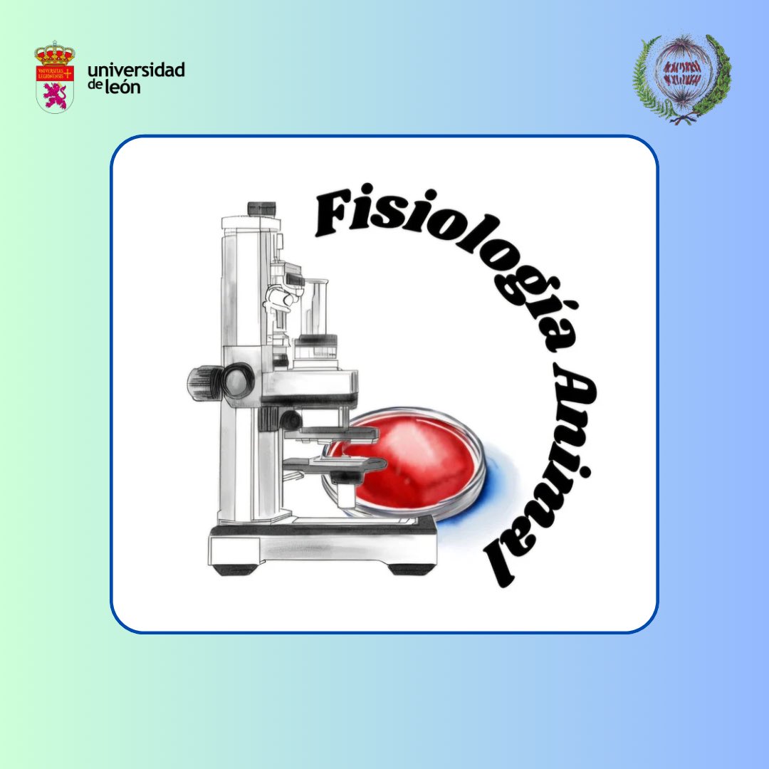 biometac's tweet photo. Os animamos a participar en nuestro taller de fisiología animal!! Aquí una breve descripción y el equipo que lo forma😁🔬 Os aseguramos nuevos conocimientos y diversión! #unileon #biometac #ciencia #divulgación #aprendizaje #fisiología https://t.co/oZaHqk8Rwt