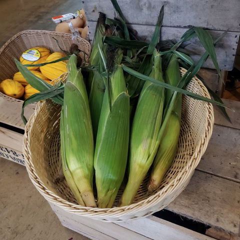 What's your favorite part of summer and is it corn? We've got delicious local 🌽🌽🌽🌽🌽 from @lancasterfarmfresh in the store these days and it's just perfect boiled, grilled (or even cooked in the Instant Pot!) Come see us for peak summer ☀️ goodness today.