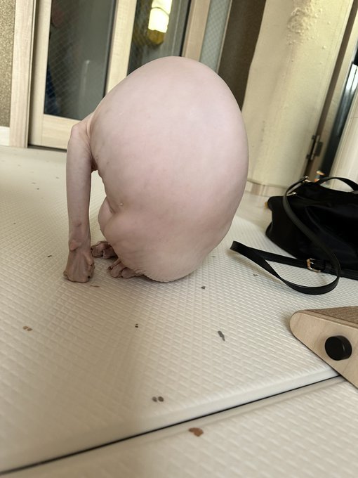 ㅋㅋㅋ이상한 사진 하면 떠오르는 
사진ㅋㅋ