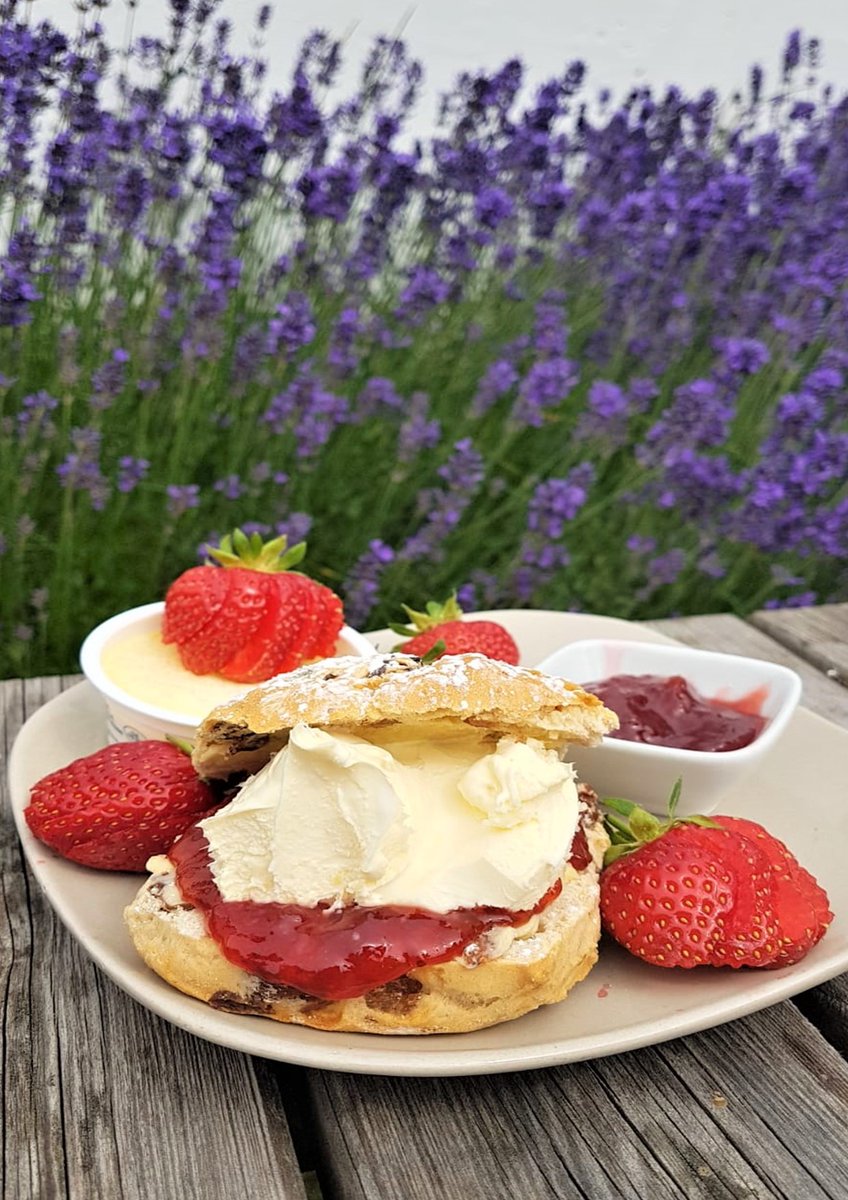 White Rose BookCafe tweet media