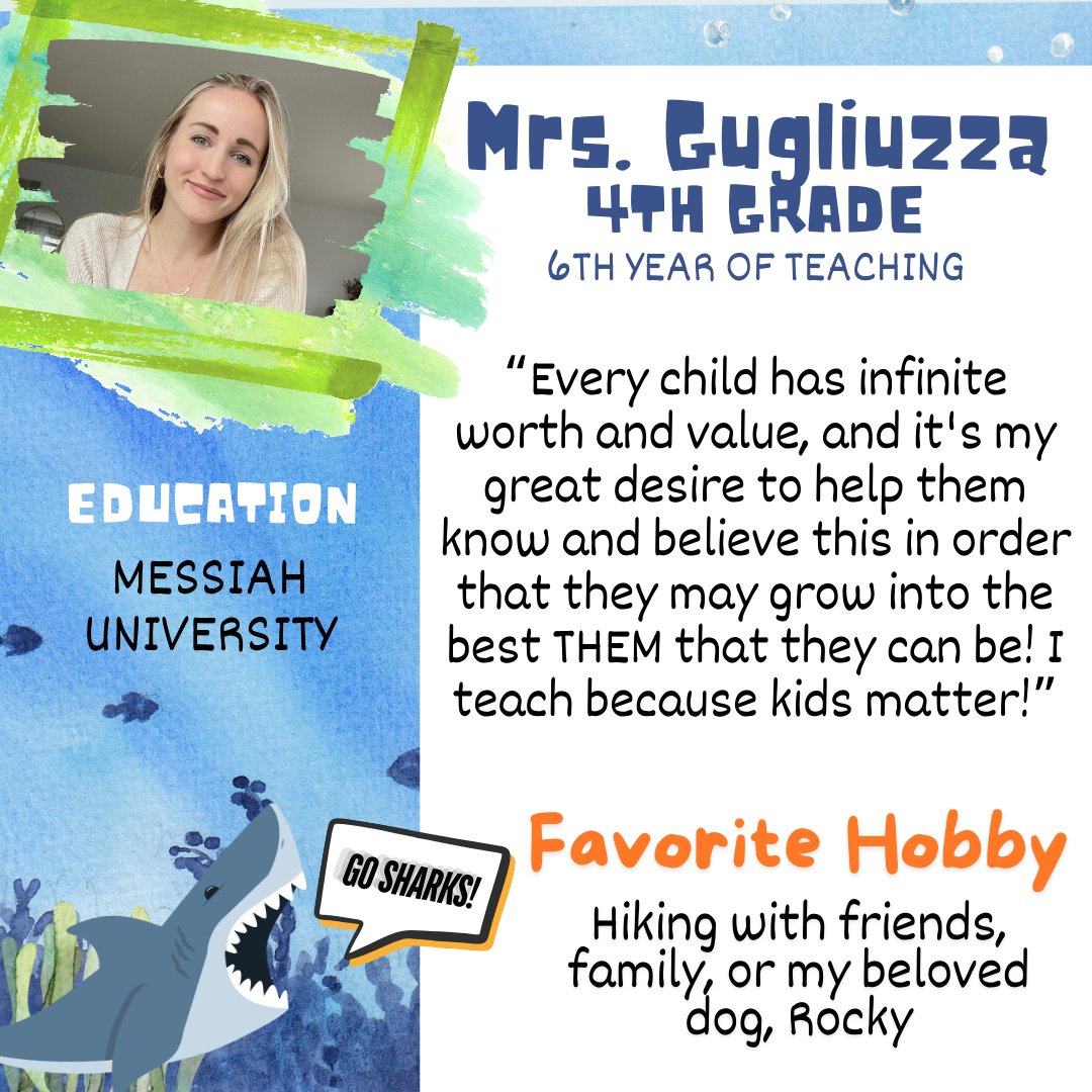 🔦New Teacher Spotlight!  We're welcoming many new staff members to the FC team for the 2024-2025 school year.  This isn't the entire crew... stay tuned for more introductions! #fcsharktank #westshoreproud #elementaryschool #newteacherspotlight