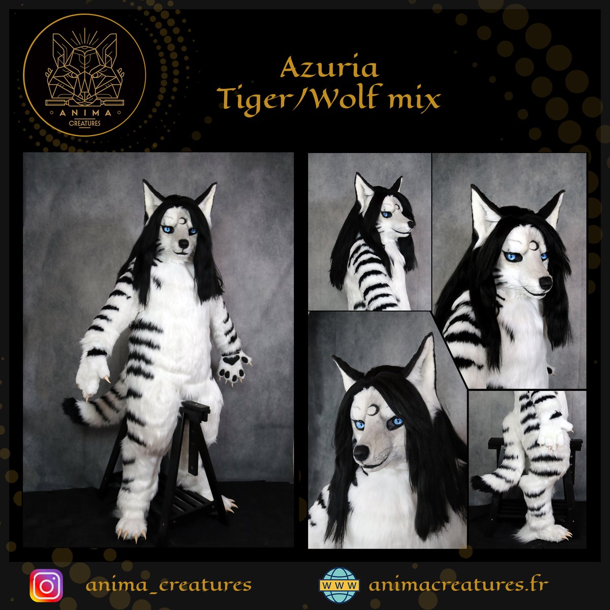 Anima Creatures tweet media