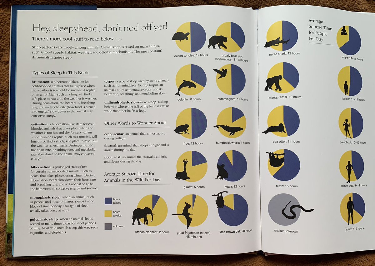 Ashley Ingiosi tweet media