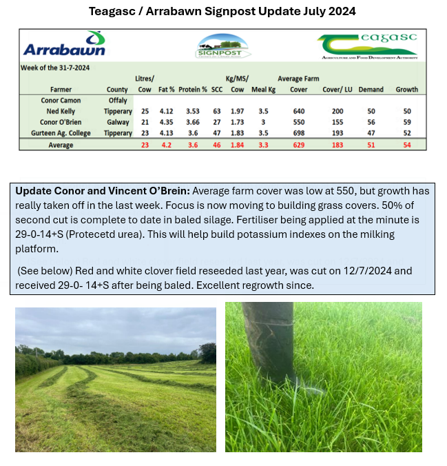 ArrabawnMilk4Profit tweet media