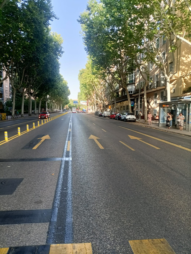 MadridProyecta's tweet photo. 🔎"Paseo" de la Reina Cristina. Están de obras por la L11 de metro.

Sería el momento de aprovechar para renovar esta autopista urbana y aumentar el espacio peatonal.

📸Primumvivere
🗨️https://t.co/Obz3hnAcRX https://t.co/IYB3CKoWZM