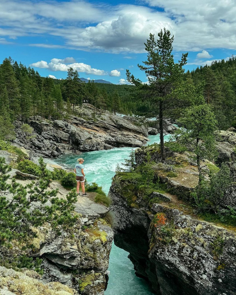 waynemarab's tweet photo. The best thing about vacationing in Norway is discovering new places☀️😍 Such beautiful nature 🍃💦
Fantastisk🩷🌸🩷🌸🩷
#bestofnorway #visitnorway #scenery #trekking #hiking  #mittnorge #naturephotography #naturephoto #mountains #norskuteliv #adventure #hikingadventures https://t.co/7bpONBEpqa