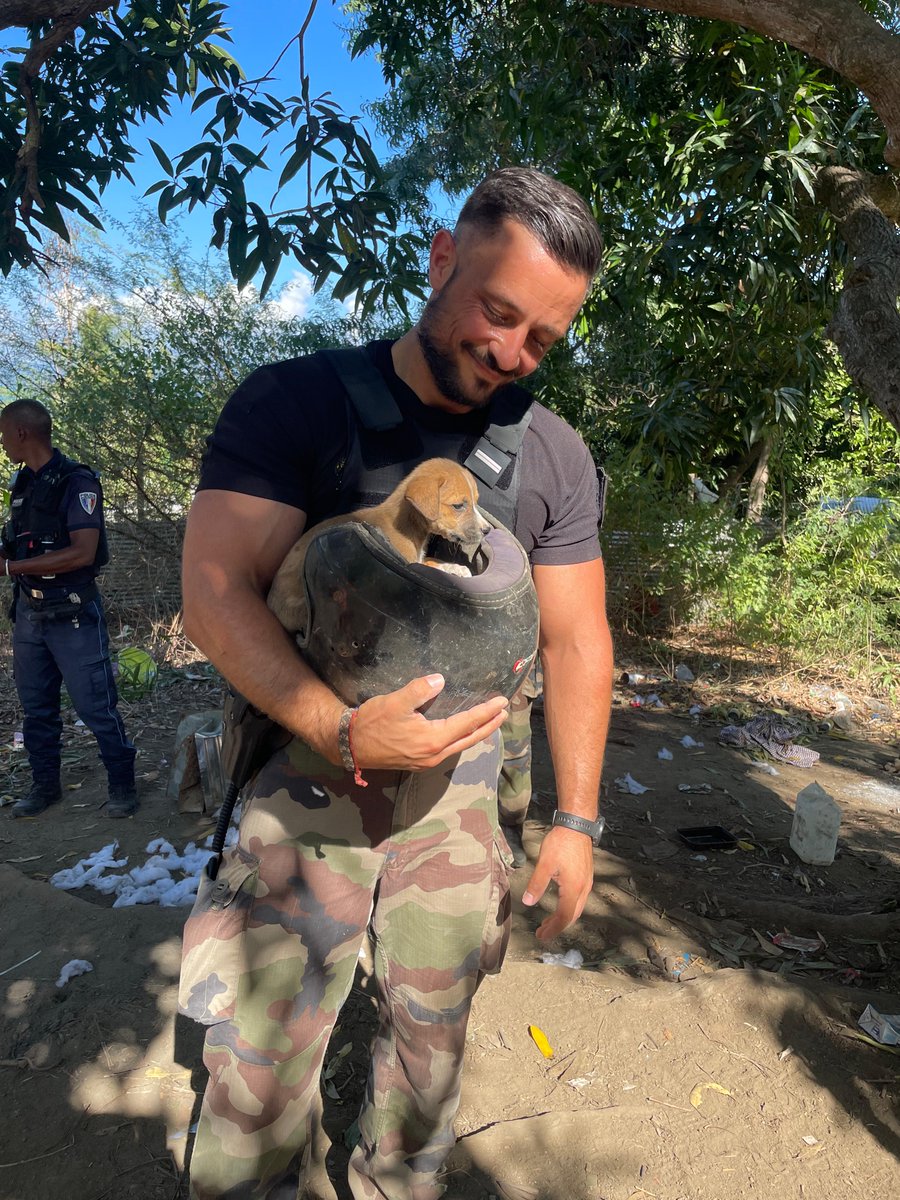 Gendarmerie's tweet photo. #CoupDeCoeur 🩵Lors d'une opération à Mayotte, les gendarmes et la police municipale ont découvert ce petit chien maltraité, caché sous un canapé.
Bonne nouvelle : le chiot va être adopté par un militaire de l'escadron. 🫶🐕
📸Gnd Poisson https://t.co/cmNMMVmmhn
