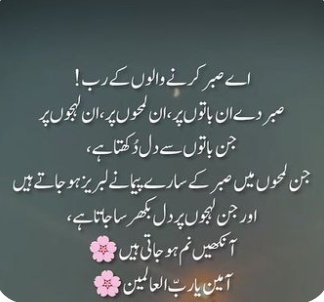 Saba Zaidi tweet media