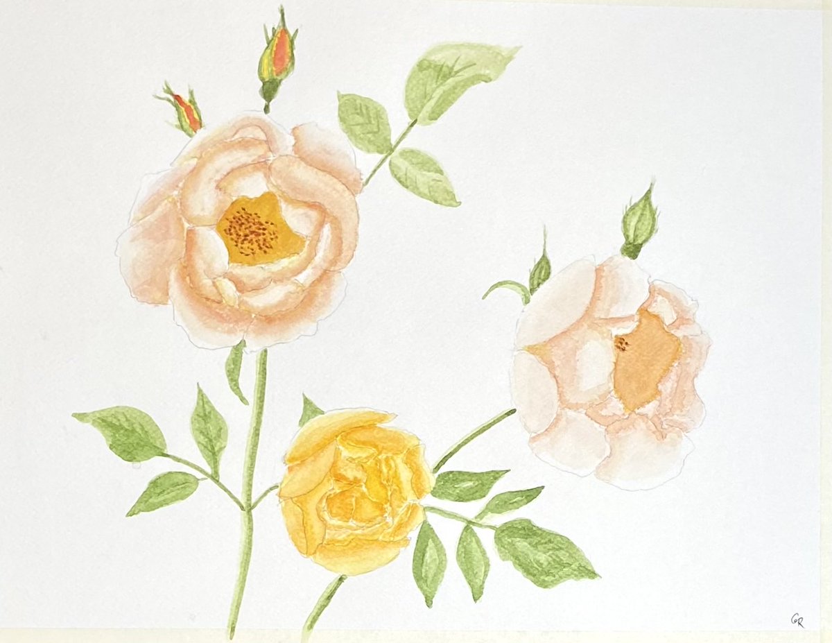 George Rook tweet media