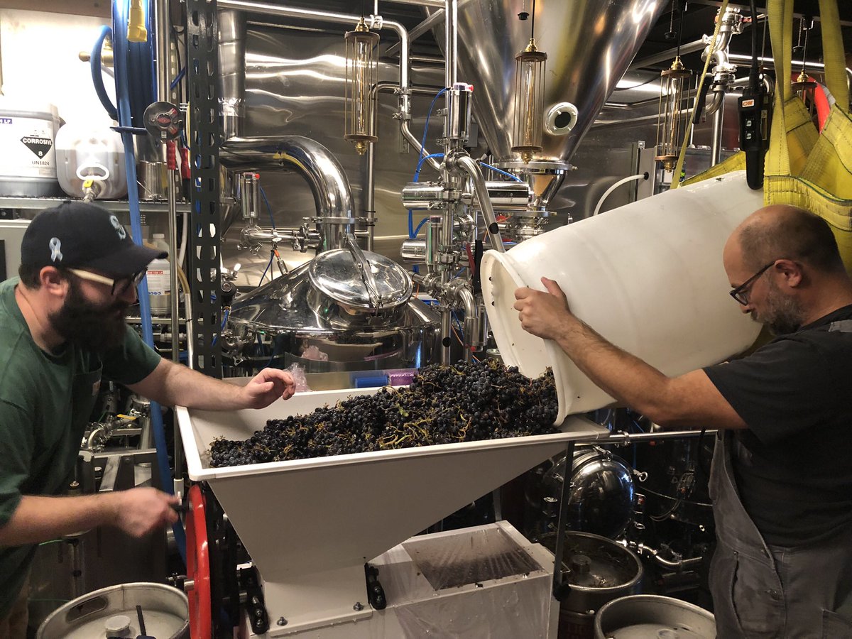 Flying Lion Brewing tweet media