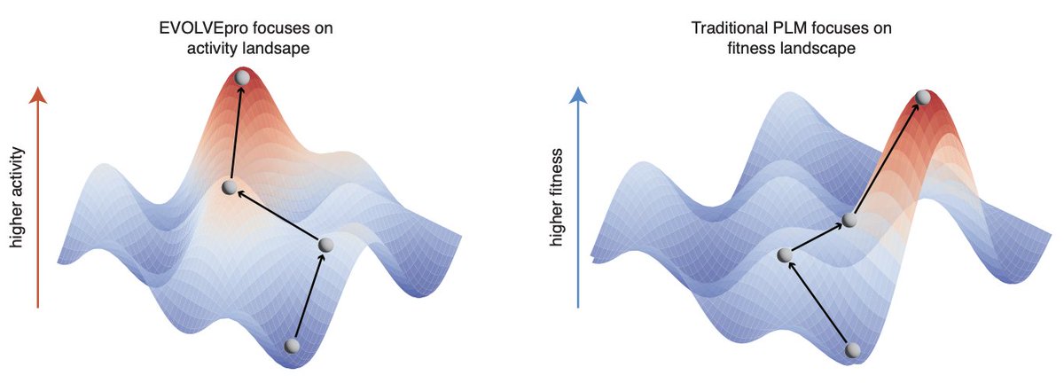 Simon Barnett tweet media