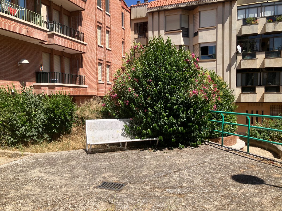 MunozSelma48117's tweet photo. @aytosalamanca póngase las pilas y limpie los barrios de la ciudad. Estos son solo algunos ejemplos de cómo de abandonados nos tienen. Naturaleza salvaje, aceras y escaleras llenas de hojas, árboles sin podar que tienes que esquivar… 
@CGCarbayo https://t.co/nVFGx2ZeXi